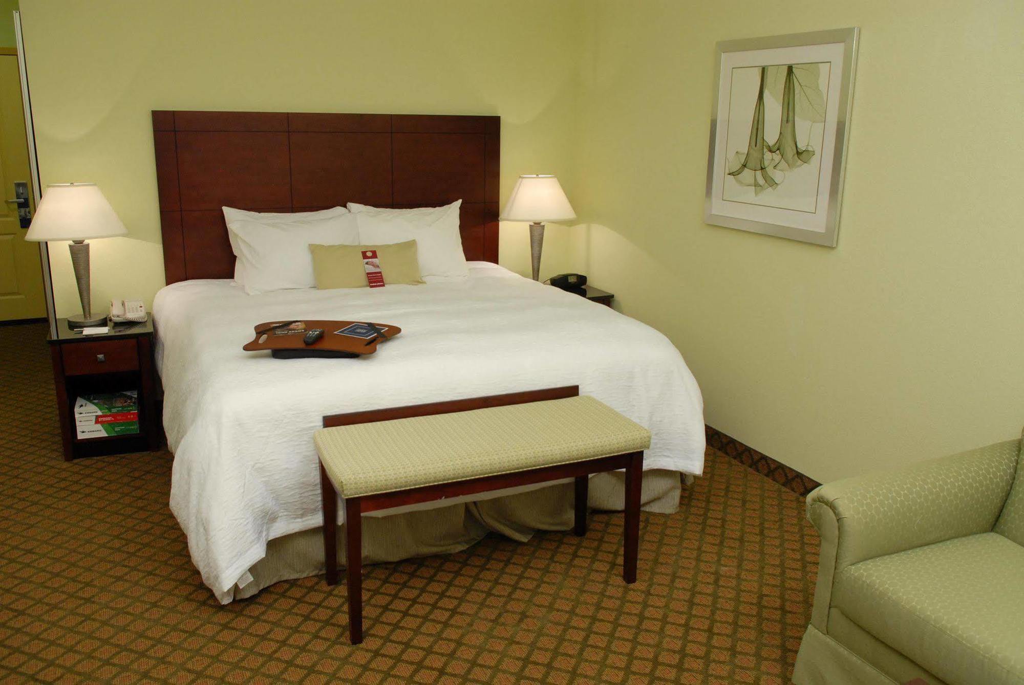 Hampton Inn&suites Orlando-south Buena Vista Hotel Kissimmee