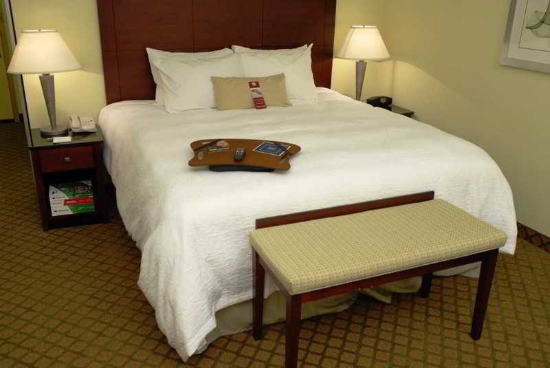 Hotel Hampton Inn&suites Orlando-south Buena Vista 3*